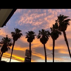 Meet your Posher, Eboniee